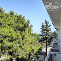 фото из отзыва ID 2231605