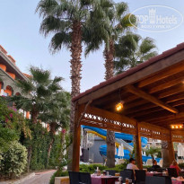 фото из отзыва ID 2231606