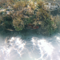 фото из отзыва ID 2231338