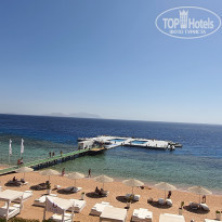 фото из отзыва ID 2231648