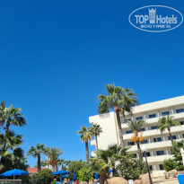 фото из отзыва ID 2231777