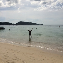 фото из отзыва ID 2231781