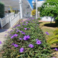 фото из отзыва ID 2231904