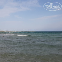 фото из отзыва ID 2231918