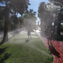 фото из отзыва ID 2231979