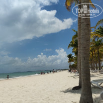 фото из отзыва ID 2232000