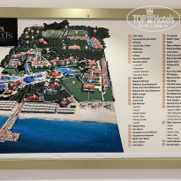 фото из отзыва ID 2232032