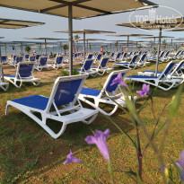 фото из отзыва ID 2232148