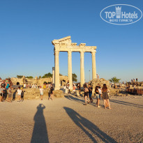 фото из отзыва ID 2232180