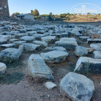 фото из отзыва ID 2232180