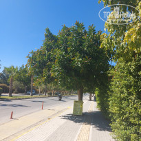 фото из отзыва ID 2232180