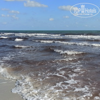 фото из отзыва ID 2232237