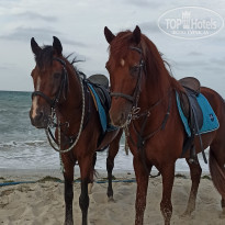 фото из отзыва ID 2232237