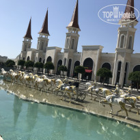 фото из отзыва ID 2232374