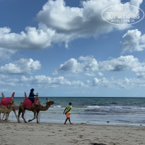 фото из отзыва ID 2231937