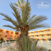 фото из отзыва ID 2231937