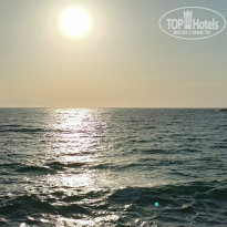 фото из отзыва ID 2231955