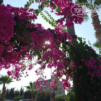 фото из отзыва ID 2232422