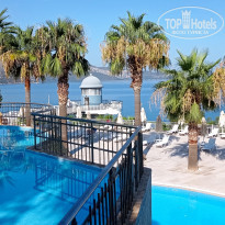 фото из отзыва ID 2232387