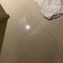 фото из отзыва ID 2232493