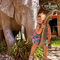 фото из отзыва ID 2232744