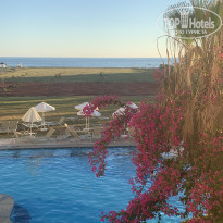 фото из отзыва ID 2232865