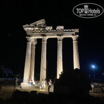 фото из отзыва ID 2233098