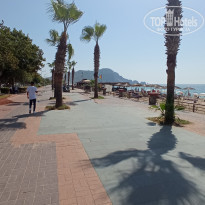 фото из отзыва ID 2233134