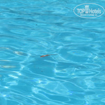 фото из отзыва ID 2233107