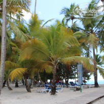 фото из отзыва ID 2233107