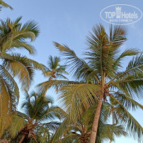 фото из отзыва ID 2233107