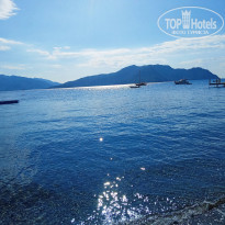 фото из отзыва ID 2233232