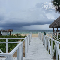 фото из отзыва ID 2233221