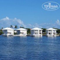 фото из отзыва ID 2233221