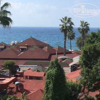 фото из отзыва ID 2233397