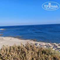 фото из отзыва ID 2233412