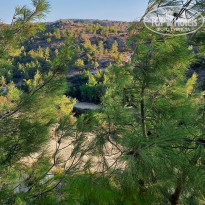 фото из отзыва ID 2233412