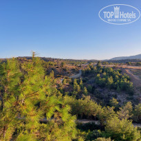 фото из отзыва ID 2233412