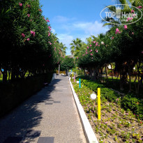 фото из отзыва ID 2233457