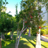 фото из отзыва ID 2233457