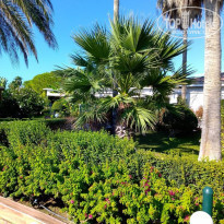 фото из отзыва ID 2233457