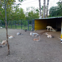 фото из отзыва ID 2233457