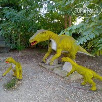 фото из отзыва ID 2233457