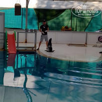 фото из отзыва ID 2233457