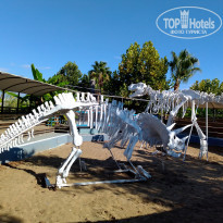 фото из отзыва ID 2233457