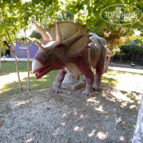 фото из отзыва ID 2233457