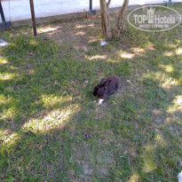 фото из отзыва ID 2233457