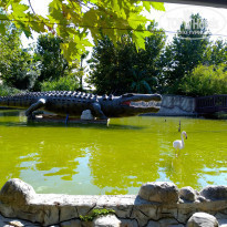 фото из отзыва ID 2233457