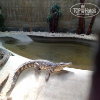 фото из отзыва ID 2233457