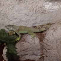 фото из отзыва ID 2233457